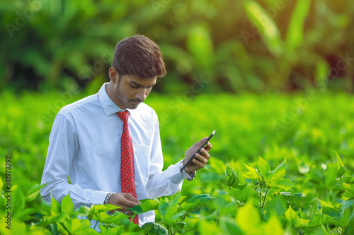 young handsome agronomist inspecting cotton field with tablet