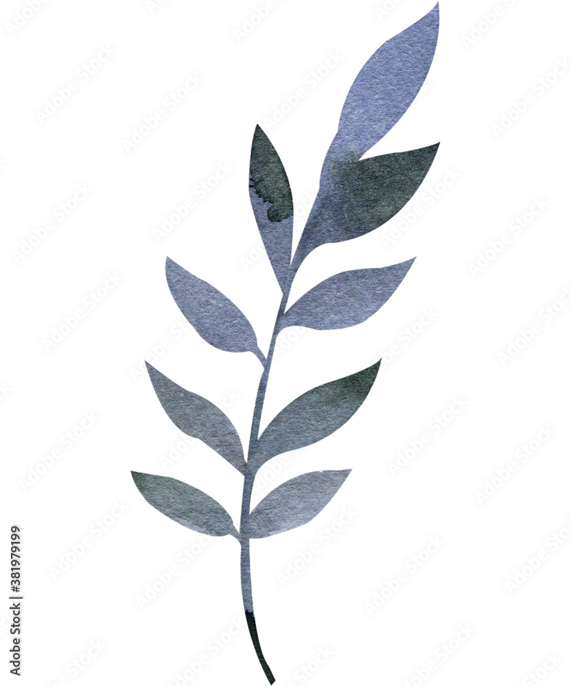 Watercolor twig, stem, leaves, hand painted clip art. Watercolor greenery, foliage Watercolor twig, stem, leaves, hand painted clip art. Watercolor greenery, foliage