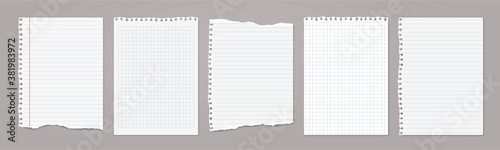 White lined and math note, notebook paper with torn edges stuck on light grey backgroud. Vector illustration