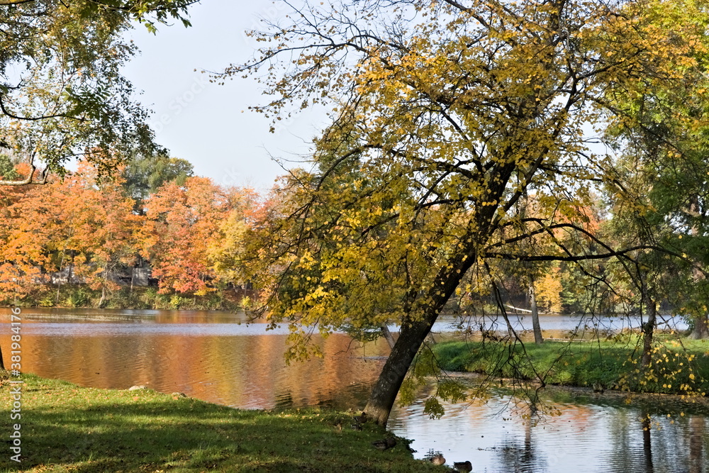 Autumn park in September in Russia, lake with red leaves and reflection, background. Beautiful autumn landscape in the park, seasons. Travel through beautiful, Russian, autumn forests.