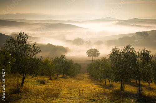 sunrise in the valley with olive trees, hills covered by fog and mountains in background, perfect autumn morning light, tuscany, italy