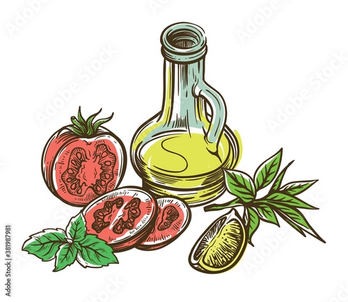 tomato, lemon slice and jug of olive oil. vector sketch on white background