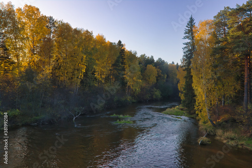 Autumn landscape, forest trees are reflected in calm river water against a background of blue sky and white clouds.