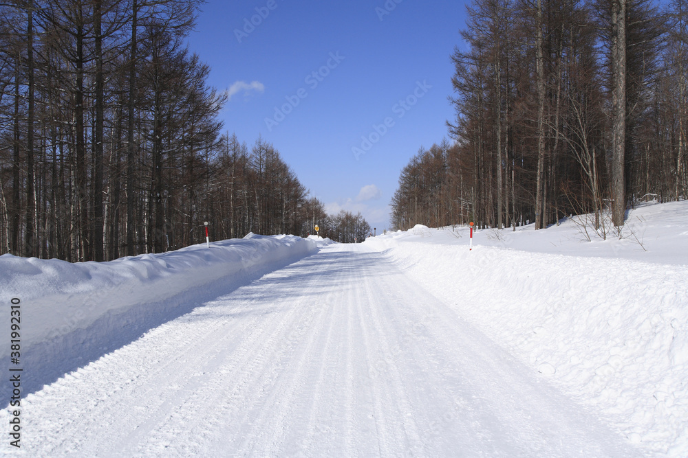 雪道