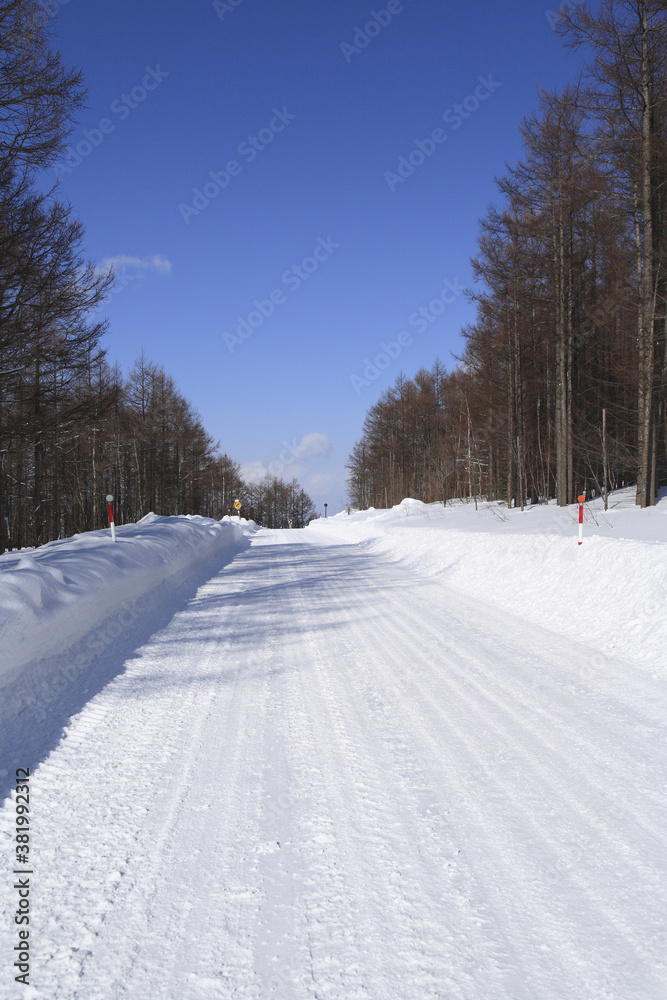 Obraz premium 雪道