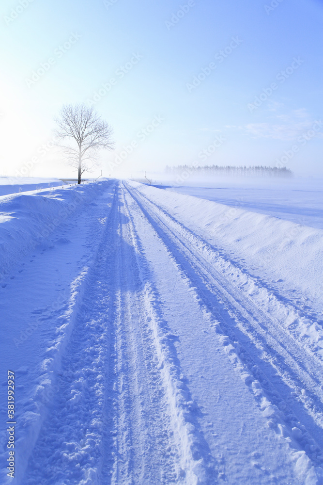 冬の一本道