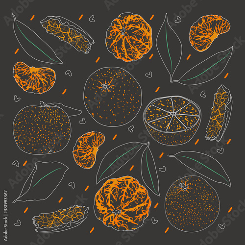 Vector mandarin. An illustration of a tangerine whole and sliced ​​in vintage style. Drawing with colored chalk.