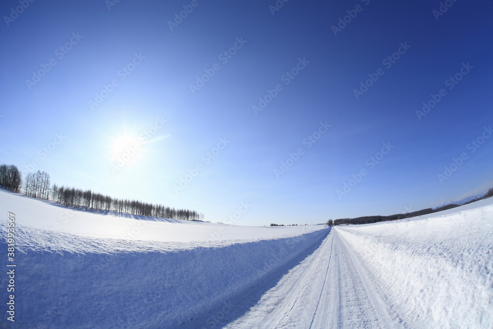 Obraz premium 冬の一本道