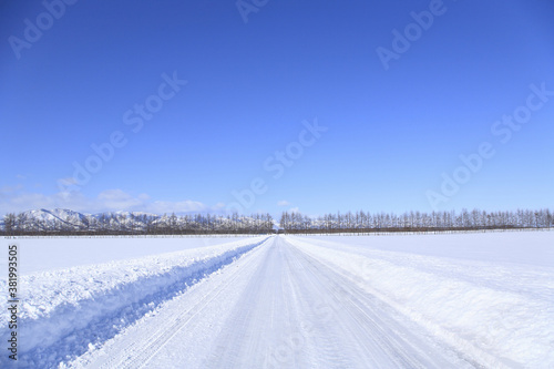 冬の一本道 © Paylessimages