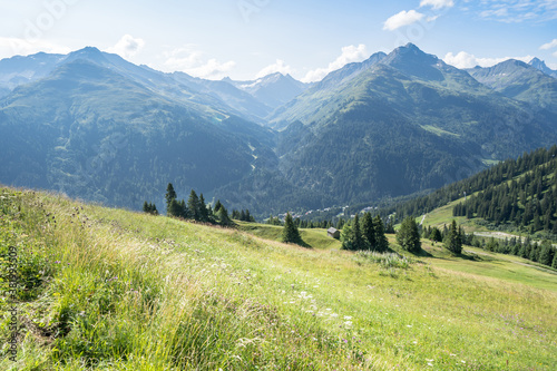 Idyllic summer landscape in the Alps © robertdering