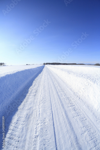 冬の一本道 © Paylessimages