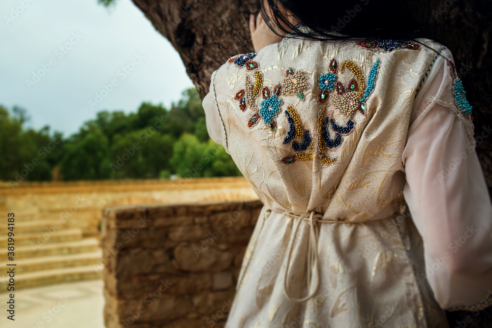 Naklejka premium Moroccan traditional dress, embroidery on the caftan. Festive women's clothing in Morocco