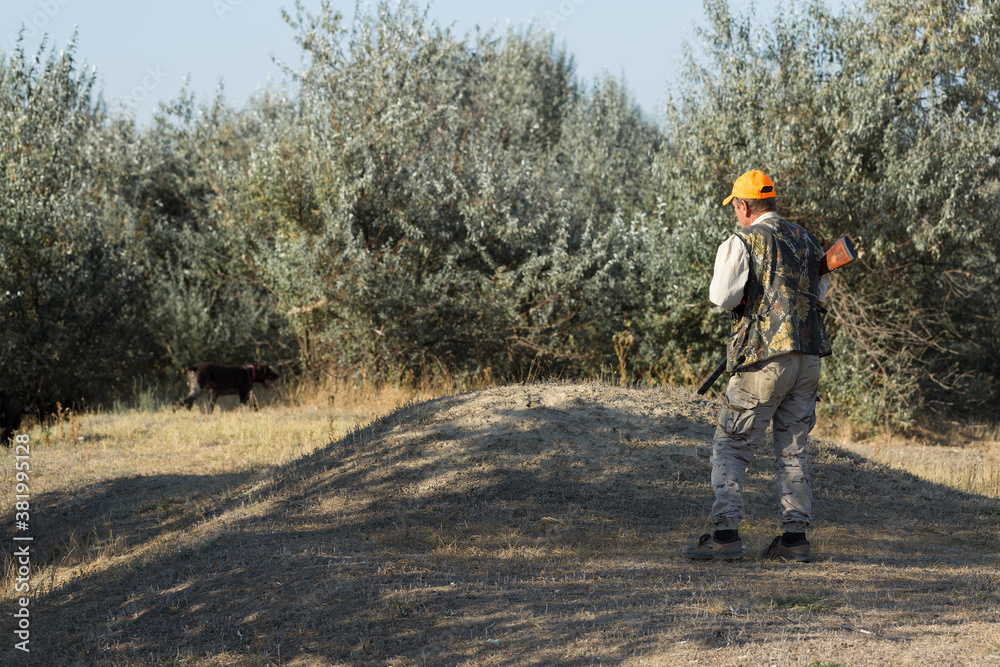 Duck hunter with shotgun walking through a meadow. .Rear view of a man with a weapon in his hands. Duck hunter with shotgun walking through a meadow. .Rear view of a man with a weapon in his hands.