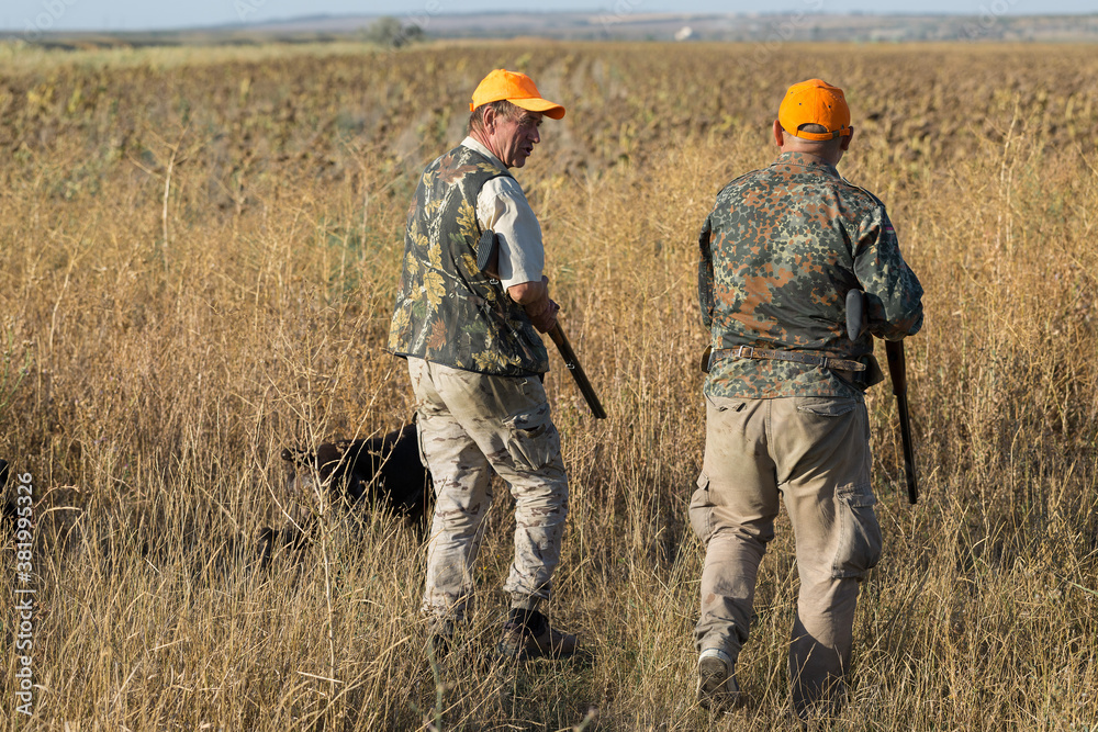 Duck hunters with shotgun walking through a meadow. Duck hunters with shotgun walking through a meadow.