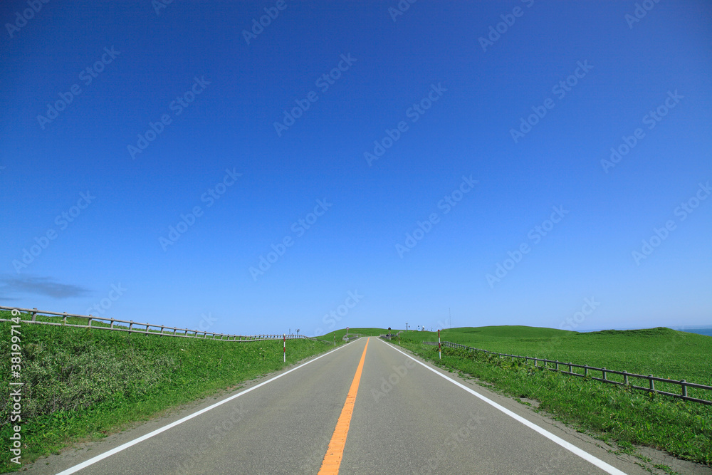 Fototapeta premium 一本道