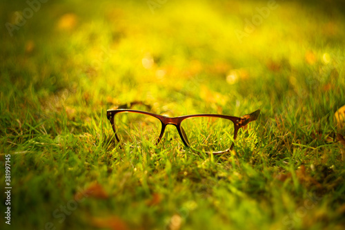 Stylish brown glasses on an autumn background