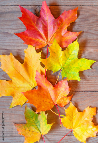 Autumn yellow and orange leaves on wooden background. fall wooden background