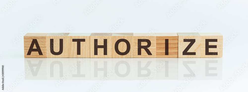 Word AUTHORIZE made with wood building blocks