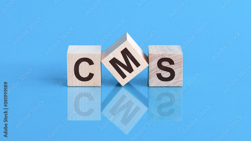 Word CMS made with wood building blocks, stock image Word CMS made with wood building blocks, stock image