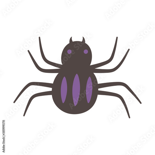 spider creepy insect isolated design icon