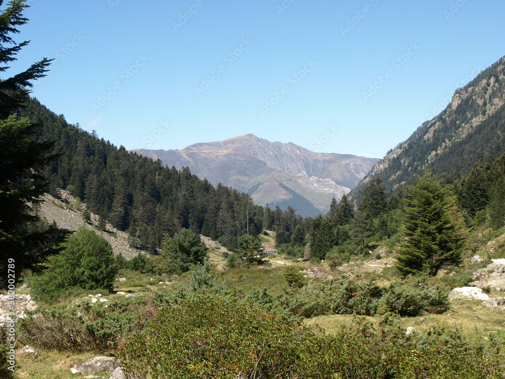 Chemin de randonnée en Pyrénées