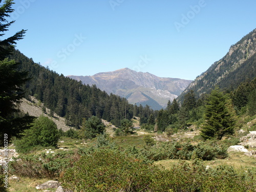 Chemin de randonnée en Pyrénées