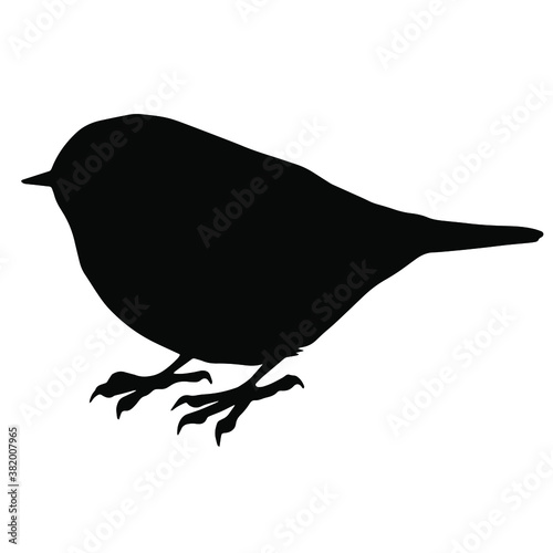 Hand drawn vector silhouette of standing ruby-crowned kinglet isolated on white background. Black and white  stock illustration of wild bird.
