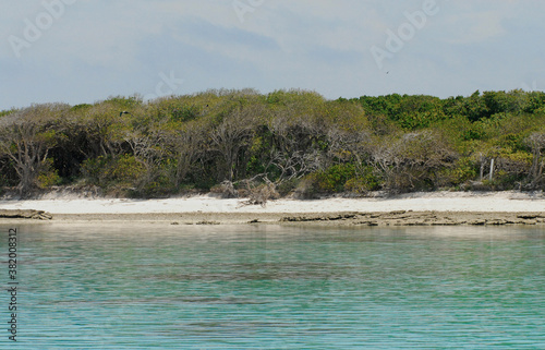 Australia- Lady Musgrave Island on the Great Barrier Reef photo