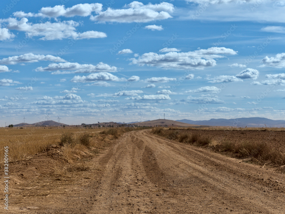 Fototapeta premium Country side view with empty road, blue sky and white cotton clouds