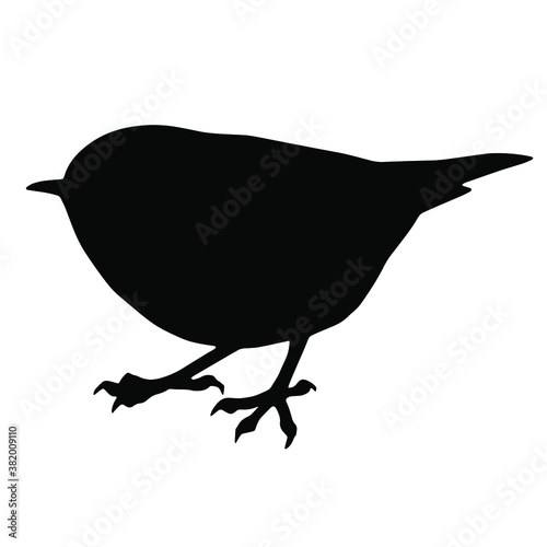 Hand drawn vector silhouette of standing ruby-crowned kinglet isolated on white background. Black and white  stock illustration of wild bird.