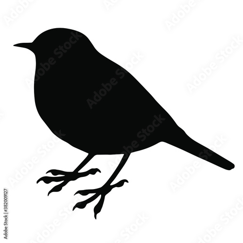 Hand drawn vector silhouette of standing European robin isolated on white background. Black and white  stock illustration of wild bird.