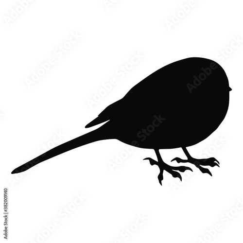 Hand drawn vector silhouette of standing great tit isolated on white background. Black and white  stock illustration of wild bird.