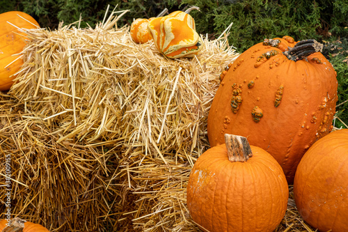 Outdoor decorations for fall with pumpkins and a hay bale.