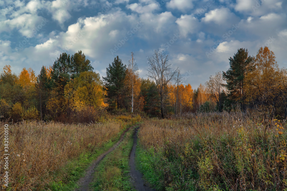 Mown meadow against a background of forest and blue sky with white clouds. The end of the summer.