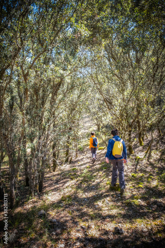 children with backpacks and colourful clothes walking along a path in a holm oak forest, vertical