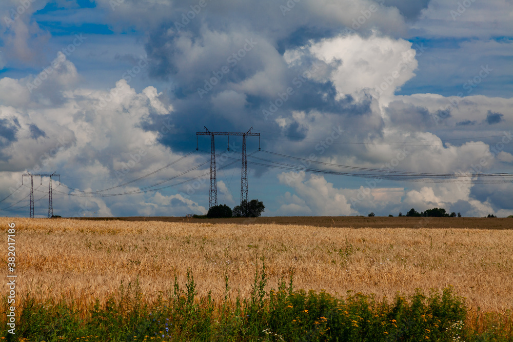 Tall metal power line poles stand in a wheat field against a cloudy sky background Tall metal power line poles stand in a wheat field against a cloudy sky background