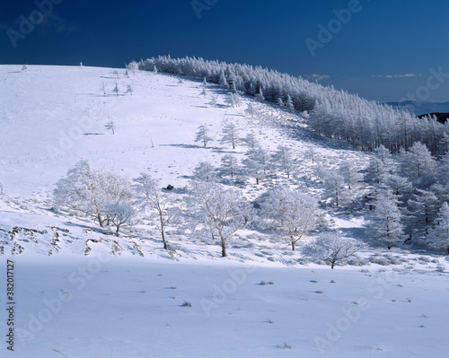 冬の美ヶ原高原