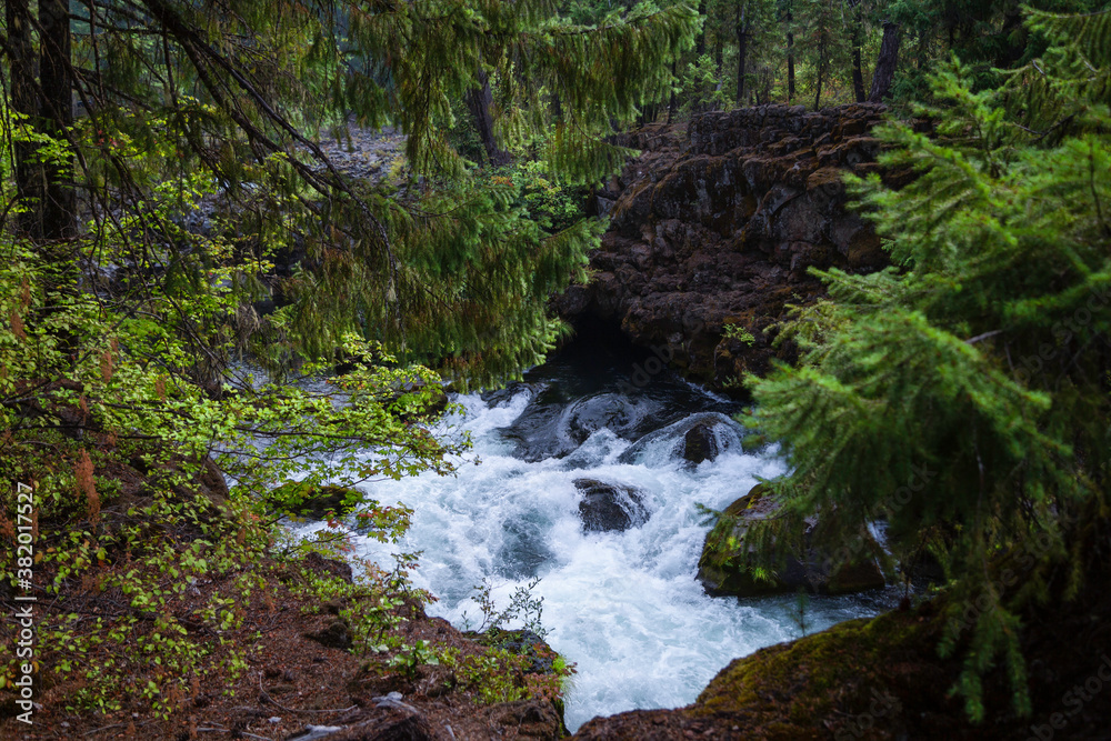 Fototapeta premium Stream in Crater Lake National Park 