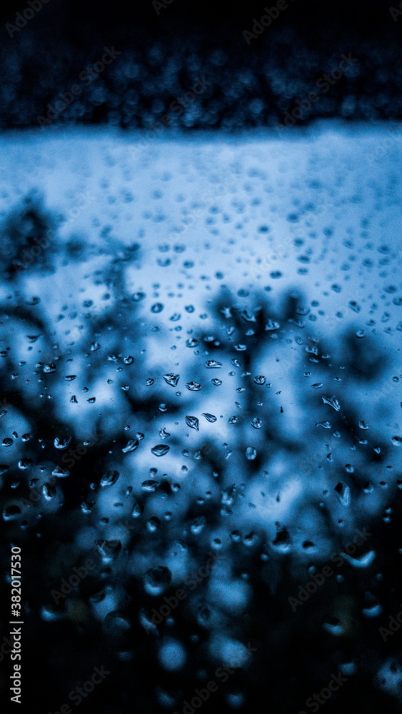 water drops on the window water drops on the window