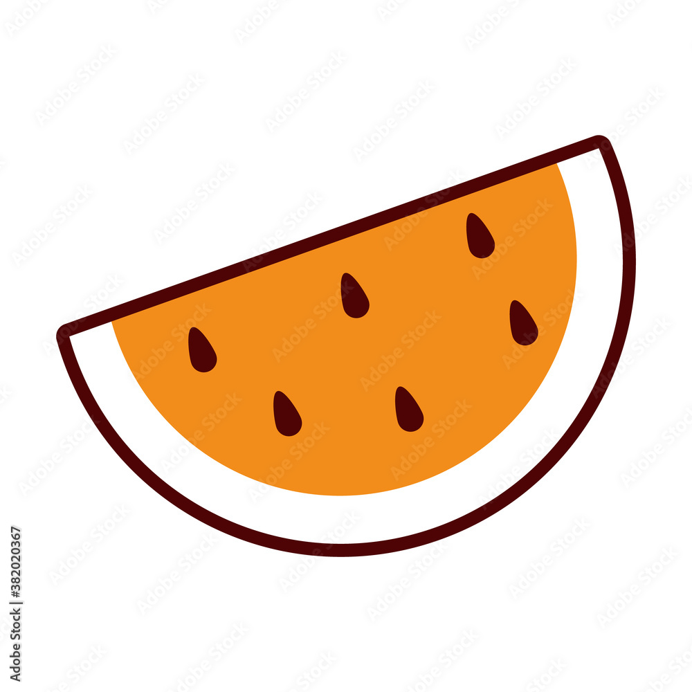 Fototapeta premium watermelon fruit icon half line half color style