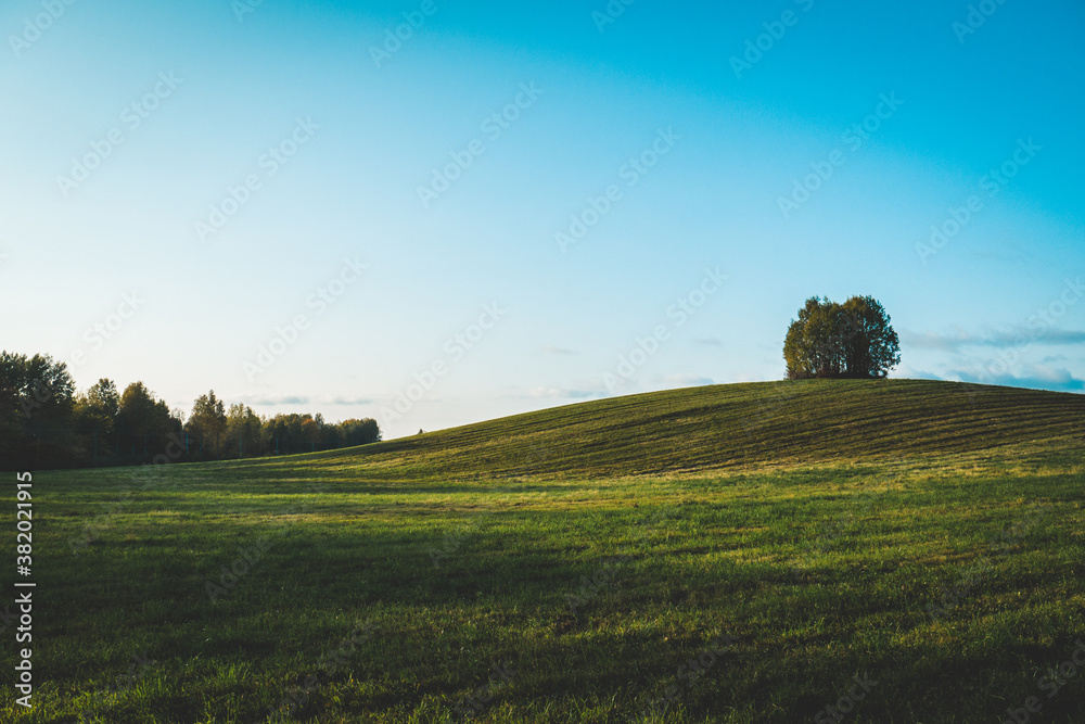 Beautiful landscape, a large green field.