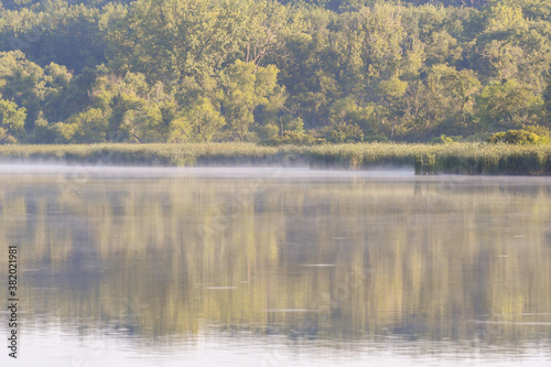 Summer Morning on the Lake with Mist Rising Above Water with High Grass and Green Forest in Background