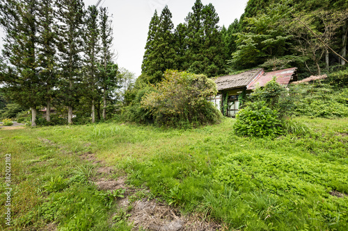 日本の放棄され廃屋になった木造の建物