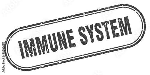 immune system stamp. rounded grunge textured sign. Label