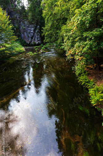 Wild summer Landscape around the Creek in the Czech Switzerland  Czech Republic