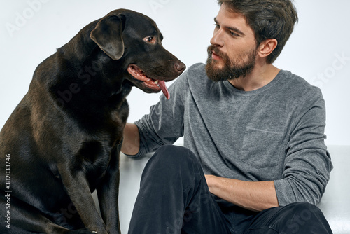 Male owner play with the dog on the couch training fun light room friends pet