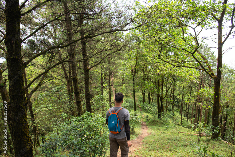 Traveller in the forest. Trekking is very popular in Vietnam Traveller in the forest. Trekking is very popular in Vietnam