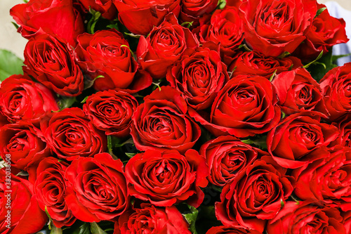 Fototapeta Naklejka Na Ścianę i Meble -  Many beautiful roses as background