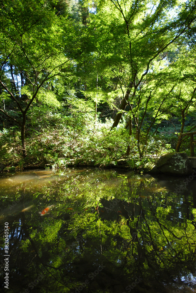 川崎市民プラザ公園（川崎市高津区新作）