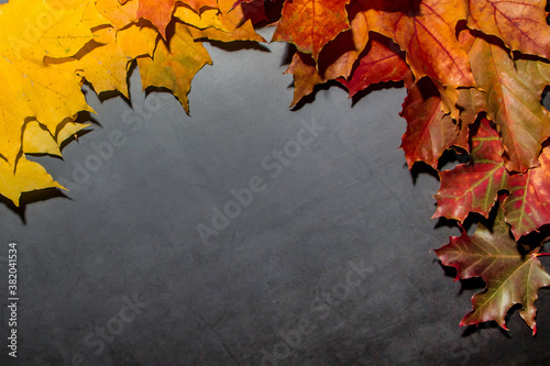 Frame of autumn yellow and red leaves on a dark background. Fall concept for design
